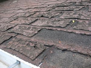 old roofing shingles that need to be replaced 